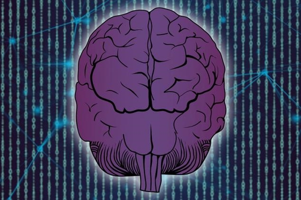 完全自主产权！国产脑机接口专用芯片研发成功：不再依赖进口